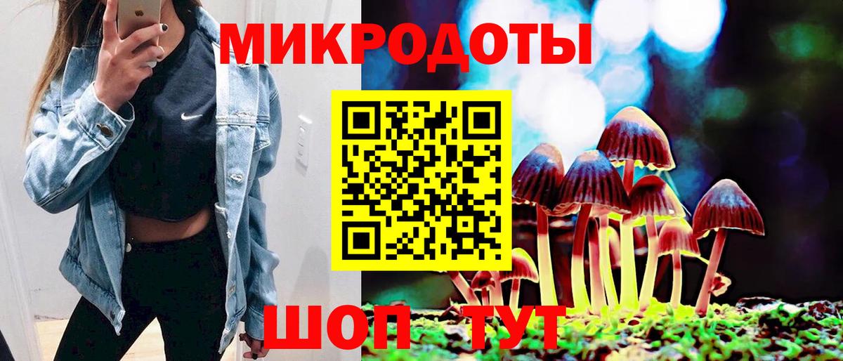 Псилоцибиновые грибы прущие грибы Елец