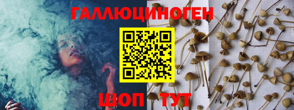 Галлюциногенные грибы Psilocybine cubensis  Вход с VPN  Елец  цена   Галлюциногенные грибы MAGIC MUSHROOMS 